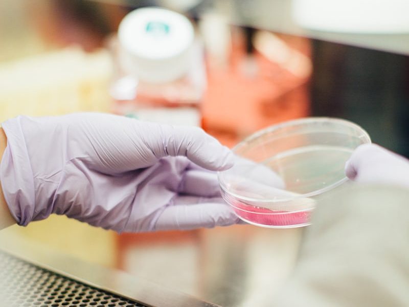 Biotech-3-owzr1uup1dozavk08yl6ldi11jypmcalb5lt1zpuuo